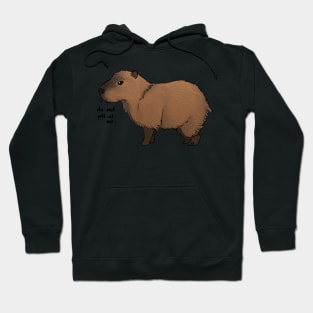 be nice capybara Hoodie